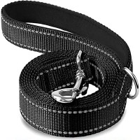 SeventhSealSoul Reflective Night Leash for Animals – Durable and Lightweight with Comfortable Grip, Perfect for Evening Walks